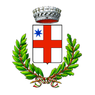 logo Comune di Salussola