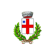 Logo Comune di Salussola